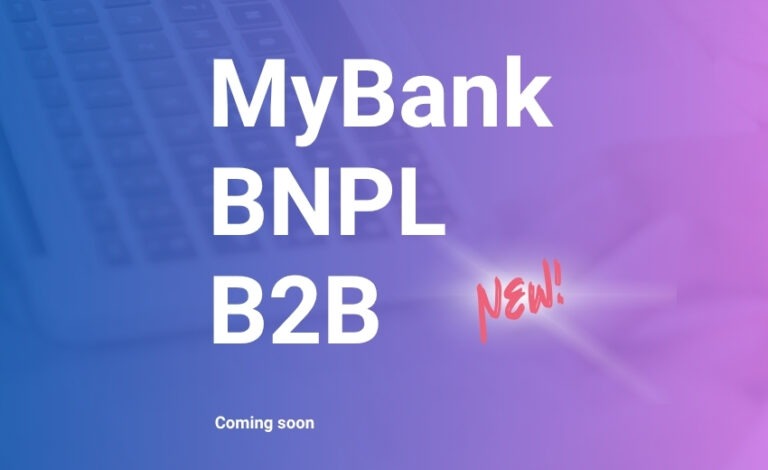 BNPL B2B